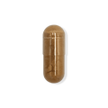 Cordyceps